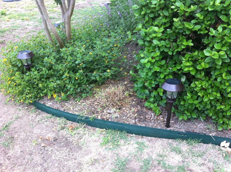 2012/00(Landscaping)/800x600_2012-04-30-6607 Conifer Cove-64.jpg
